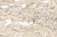 Пробковая плитка для стен /Декодалле/Decodalle, /Первый рустик жемчужный/Primus Rustic Pearl, 600 x 300 x 3