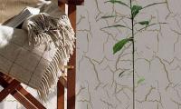 Штукатурка Decorazza /Кракуелуре/Craquelure Кракелюр