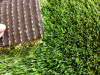 Трава искусственная 35 мм(ДК)